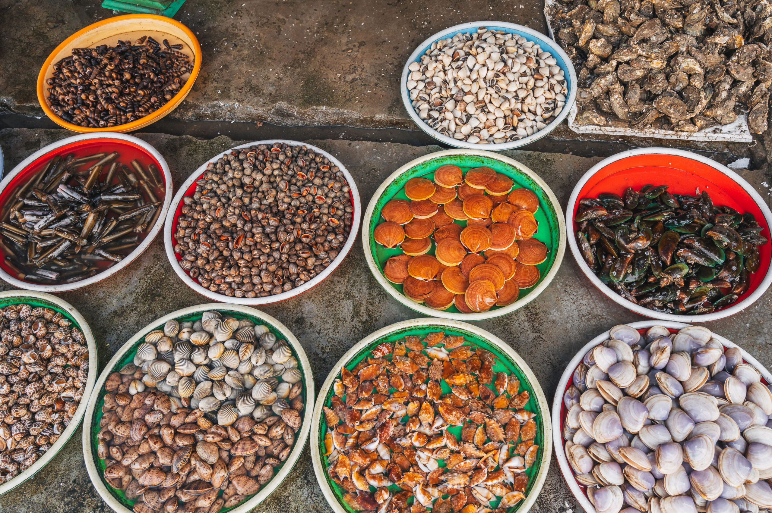 A variety of Fresh edible oysters, clams and scallops at the local market in Nha Trang, Vietnam